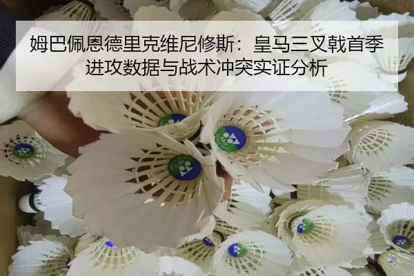 mu-ba-pei-en-de-li-ke-wei-ni-xiu-si-huang-ma-san-cha-ji-shou-ji-jin-gong-shu-ju-yu-zhan-shu-chong-tu-shi-zheng-fen-xi-2-399.jpg